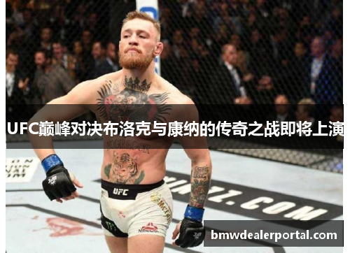 UFC巅峰对决布洛克与康纳的传奇之战即将上演