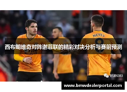 西布朗维奇对阵谢菲联的精彩对决分析与赛前预测